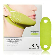 🏆Hot Sale⚡Cooling Cactus V-Line Mask